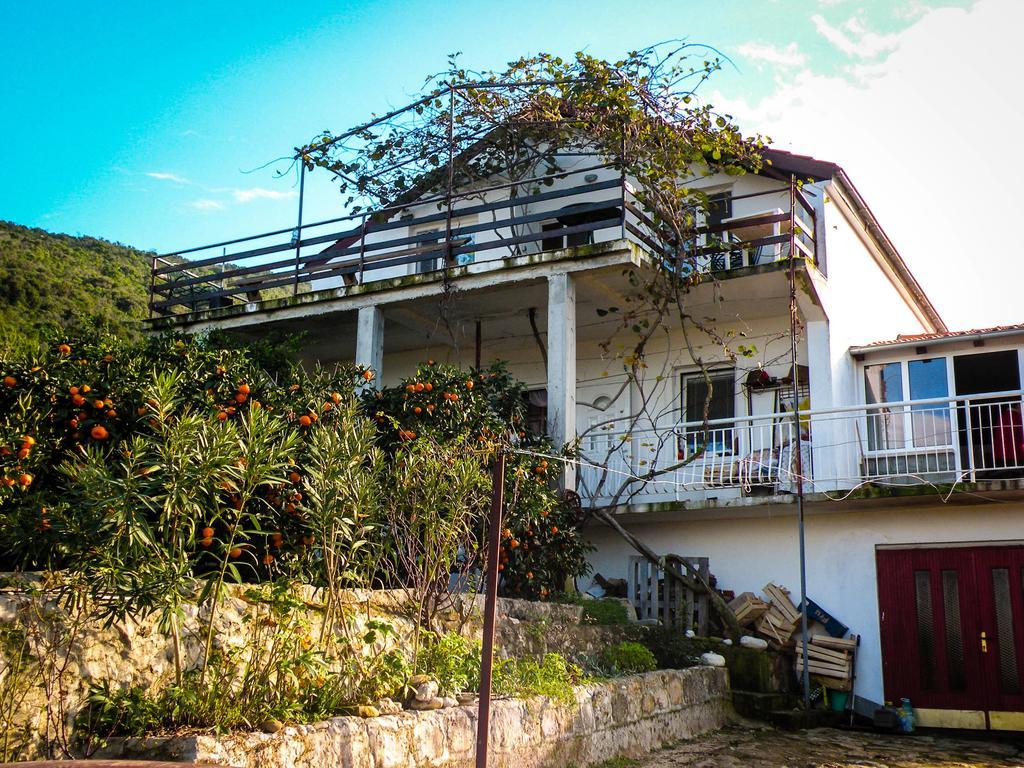 Bed and Breakfast Bellavista Peljesac Peninsula Dubrava  Habitación foto